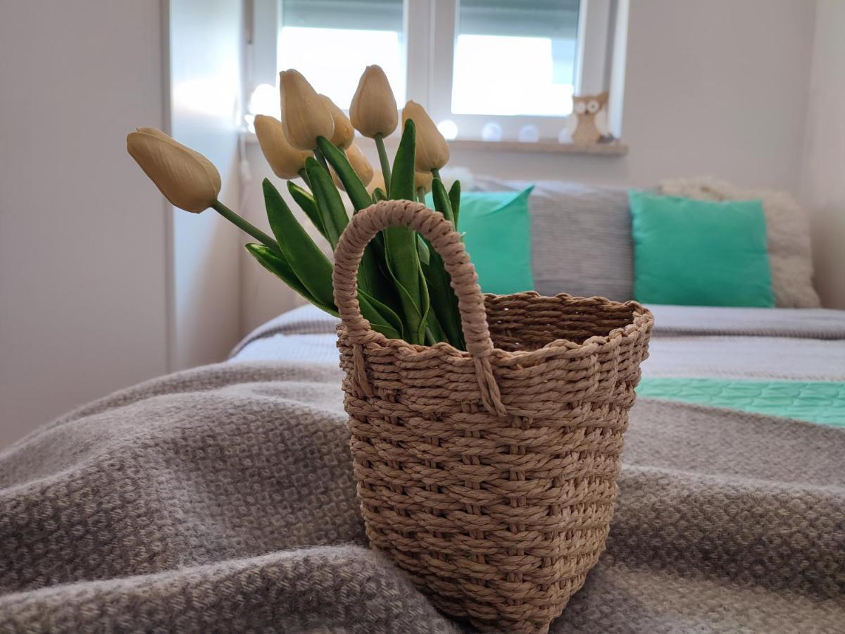 Nina Apartment Пула Екстериор снимка